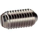 Visserie Fixation Poussoir &agrave; bille et fente de vis, M 5, inox, ressort normal Halder